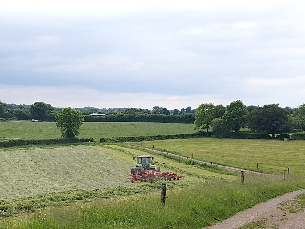 Tractor plouging in field