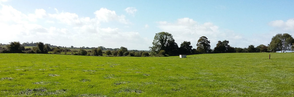 Cows & Farm Background at Icmsa