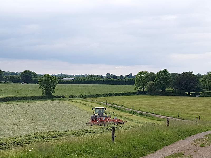 Cap payments to irish best sale farmers 2015