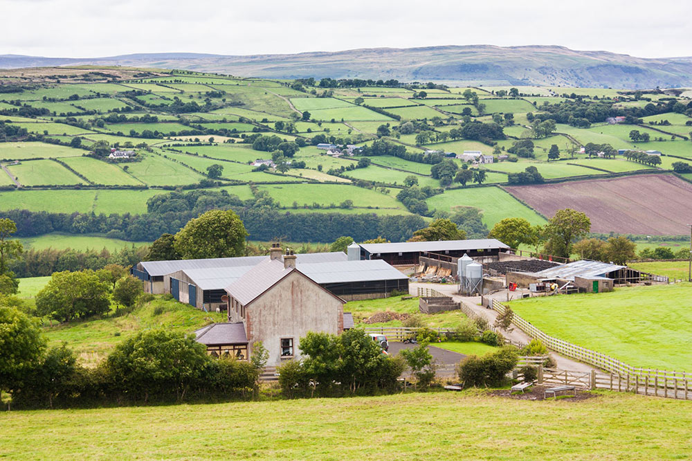 Stamp Duty Ireland Agricultural Land  Jackie Jordan Viral