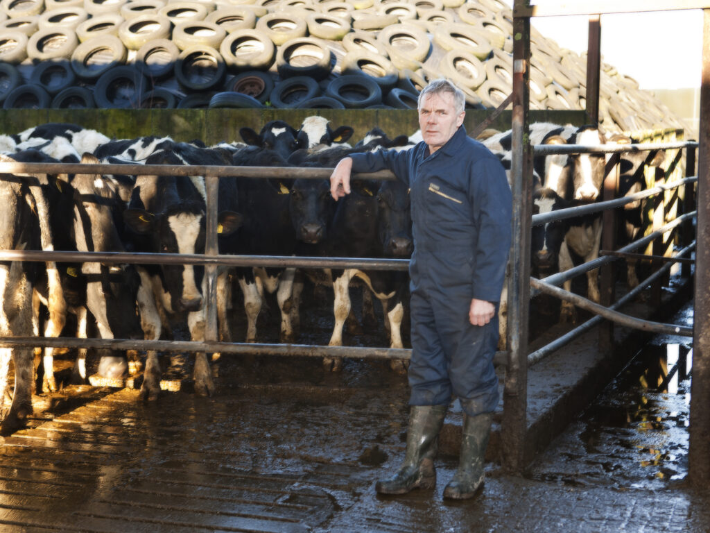 Gerald Quain, Chair of ICMSA Dairy Committee, on his farm