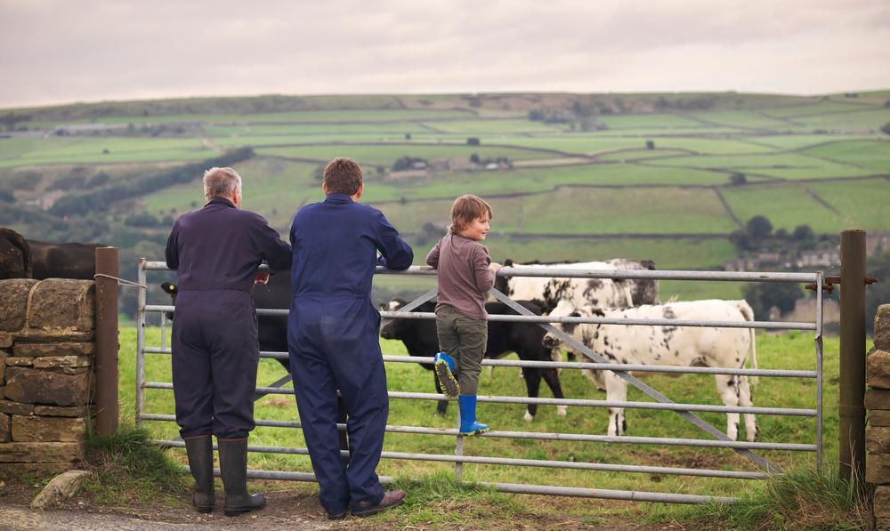 Scene from farm