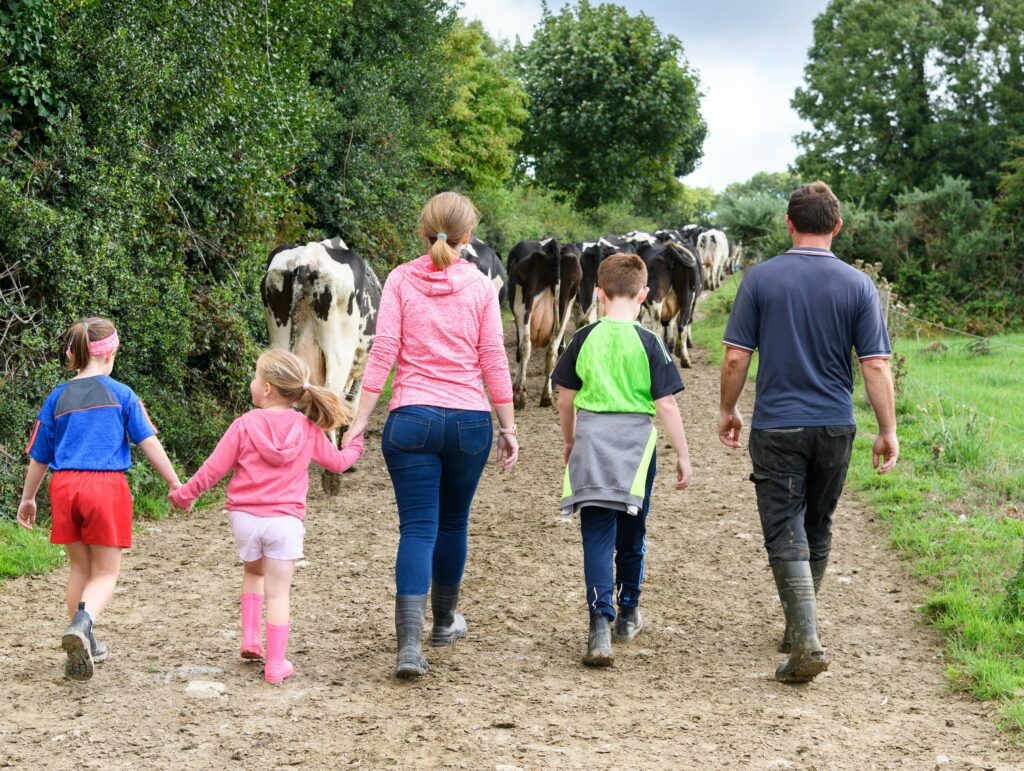 Family walking away