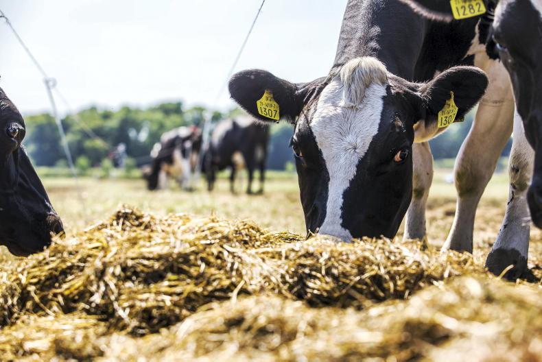 Fodder Shortage